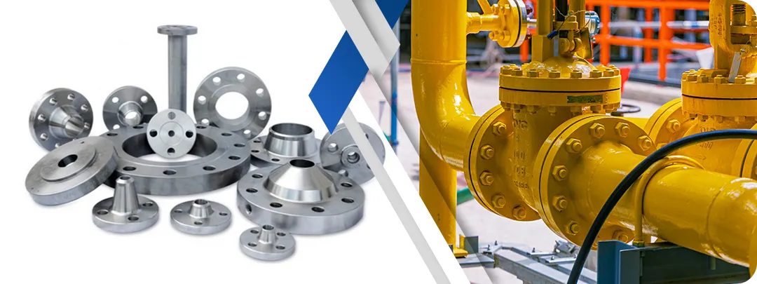 Duplex 2304 Lean Duplex Stainless Steel Flanges